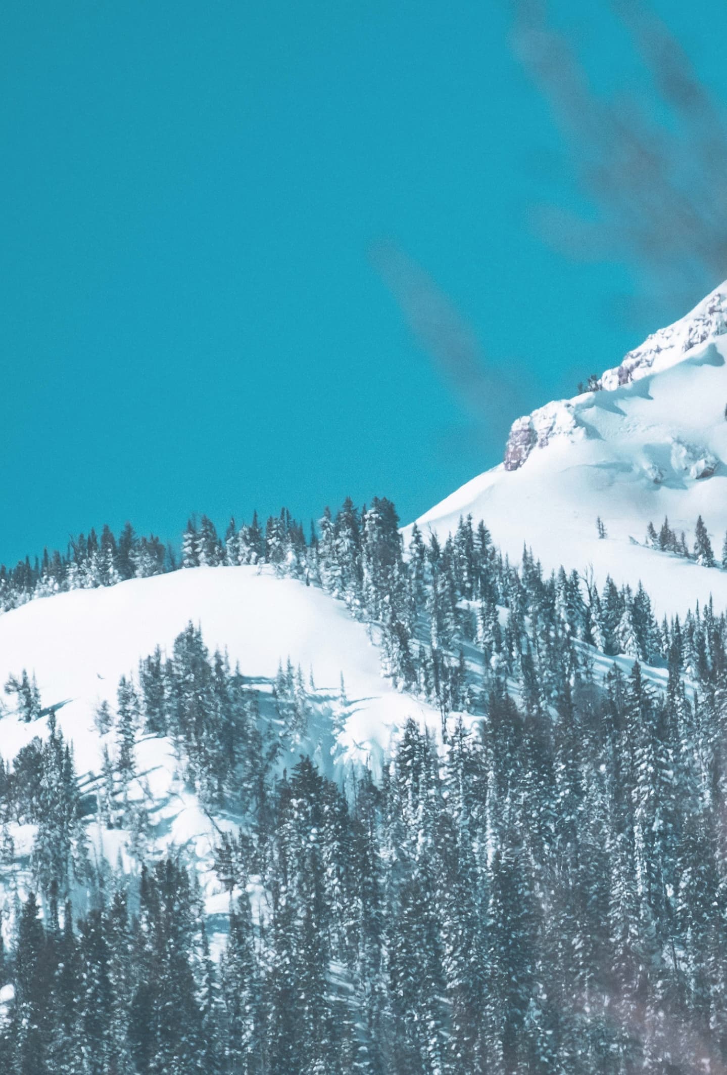 revolver-creative-company-f77cmmQGhBo-unsplash-edited2 2